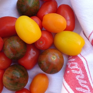 tomato4 square