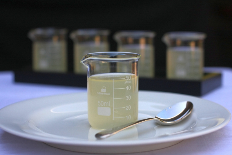 Gin jelly 1 resized